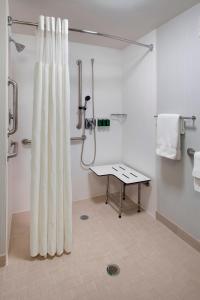 a bathroom with a shower with a shower curtain at Courtyard by Marriott Fishkill in Fishkill