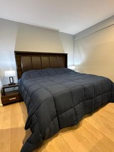 ein Schlafzimmer mit einem großen Bett in einem Zimmer in der Unterkunft Coahuila in Mexiko-Stadt