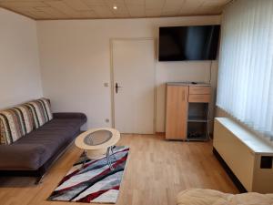 ein Wohnzimmer mit einem Sofa und einem Flachbild-TV in der Unterkunft MontApart Geiseltal in Braunsbedra