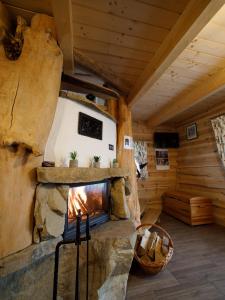 una habitación con chimenea en una cabaña de madera en Domki u Bobaków, en Ząb
