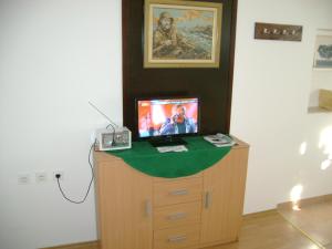 Un televizor și/sau centru de divertisment la Apartment Zagor