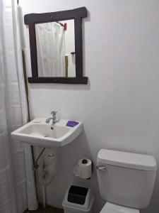 ein Badezimmer mit einem Waschbecken, einem WC und einem Spiegel in der Unterkunft Chale's House Hotel in San Juan del Sur