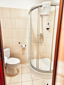 盧邦的住宿－麥克斯酒店，带淋浴和卫生间的浴室