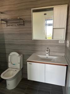 a bathroom with a toilet and a sink and a mirror at 五星佶民宿 in Jinning