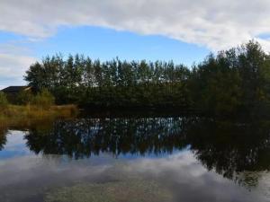 Loodusmaastik puhkemaja lähedal