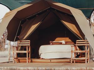 ein Zelt mit zwei Stühlen und einem Bett darin in der Unterkunft Uakii Wilderness Bush Camp in Gobabis