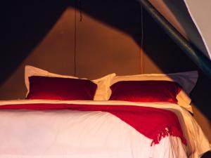 Postelja oz. postelje v sobi nastanitve Uakii Wilderness Bush Camp