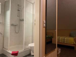 a bathroom with a shower and a toilet at Pension Grasse Hofladen Cafe GenießerImbiss Kehrigk in Kehrigk +27 photos
