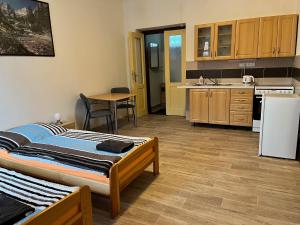 a small kitchen with a bed in a room at Apartmány RK in Horažďovice