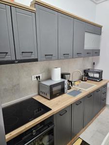 a kitchen with gray cabinets and a microwave at Garsoniera Gabrielle in Braşov