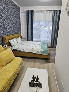 1 dormitorio con cama y ventana en Garsoniera Gabrielle, en Brasov