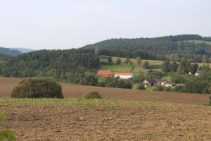 Príroda v okolí of the country house
