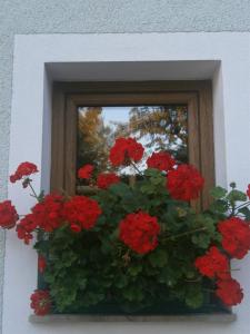Zahrada ubytování Haus Schober