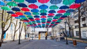 a bunch of colorful umbrellas hanging from trees at Central Apartment Pietonala in Chişinău