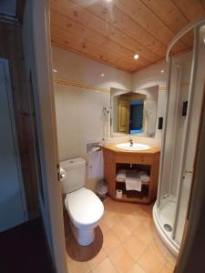克雷–沃蘭的住宿－Chalet Hotel Le Mont Bisanne，一间带卫生间和水槽的浴室