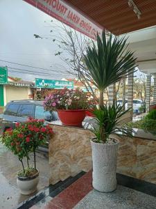 un negozio di fiori con piante in vaso su un bancone di Khách sạn Mimosa a Kon Plong