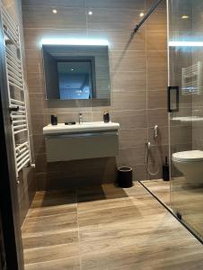 een badkamer met een wastafel, een spiegel en een toilet bij Appartement La Croisette in Nabeul