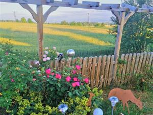 un jardin avec une clôture et des fleurs devant un champ dans l'établissement Ferienhaus "Hirschsieh", à Stiege