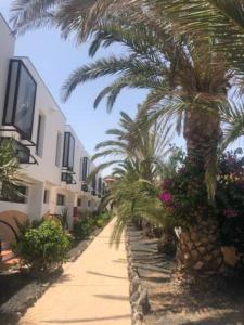 a street with palm trees and flowers next to a building at Apartamento Happyness Complex Amaya Fuerteventura in Costa de Antigua