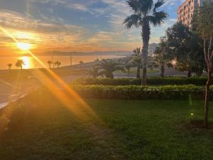 - un coucher de soleil dans un parc avec des palmiers et l'océan dans l'établissement 2 Zimmer Wohnung Corniche Nador Sidi Ali- am Meer & Wifi, à Nador