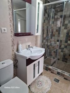 y baño con lavabo y ducha. en Apartament Teilor en Rîşnov