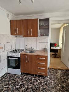 eine Küche mit einer Spüle und einem Herd Top-Backofen in der Unterkunft Apartament Teilor in Râșnov