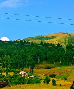 Gallery image of Weather Deck Lodge Kandy in Hindagala