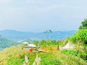 Khu du lịch sinh thái Cỏ Lau Village في Làng Song Ca: اطلالة على تلة فيها اشجار وجبال في الخلفية