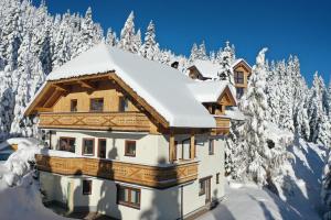 Bergchalet "Haus Sonja" في كاتشبيرغوهي: منزل خشبي مغطى بالثلوج