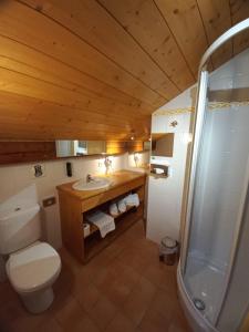 La salle de bains est pourvue de toilettes, d'un lavabo et d'une douche. dans l'établissement Chalet Hotel Le Mont Bisanne, à Crest-Voland