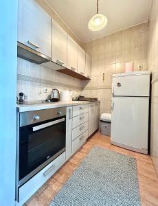 a kitchen with a refrigerator and a sink and a stove at Cozy, charming one bedroom apt in Podgorica