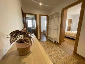 a room with a potted plant sitting on a table at Grupo Gontad Casa Secundino in Asalo