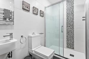 a bathroom with a shower and a toilet and a sink at 17 At The Beach, Torcross in Torcross