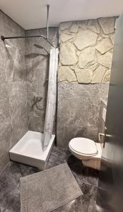 ゾントホーフェンにあるFeWo Schwäbeleholz mit 2 Schlafzimmernの石壁のバスルーム(トイレ付)