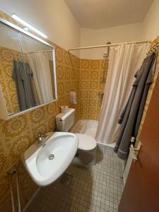 a bathroom with a sink and a toilet and a shower at Paltenhof in Selzthal