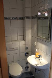 ツィングストにあるFerienwohnung Sünnenkringel 54のバスルーム(洗面台、トイレ、鏡付)
