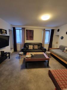 TV a/nebo společenská místnost v ubytování sassenage au pied du Vercors 2 appartements