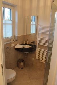 La salle de bains est pourvue d'un lavabo, de toilettes et d'un miroir. dans l'établissement Ferienhaus "Sehnsucht" Störtebekerstr3e, à Zingst