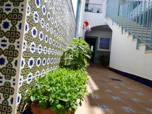 Fotografie z fotogalerie ubytování Hostal Campo Nuevo v destinaci Sanlúcar de Barrameda