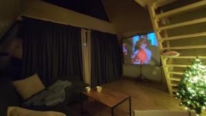 TV a/nebo společenská místnost v ubytování Kamara