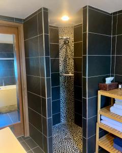 a bathroom with a shower with black tiles at Péniche Suresnes in Suresnes