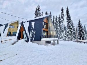 a house in the snow with snow around it at Winter House TT Jahorina in Jahorina