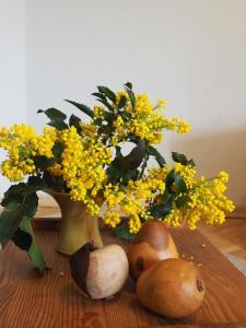 a vase with yellow flowers and mushrooms on a table at Urlaub im Alten Apfelgarten - Ferienwohnung Goldparmäne in Sörup