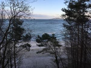 vistas a la playa a través de algunos árboles en Beim Windmüller App 1,7-10, en Ostseebad Koserow