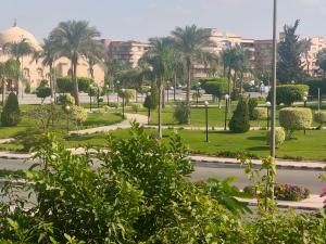 a park with palm trees and a building at Private Room with private bathroom in a cozy Apt. And shared area in Cairo