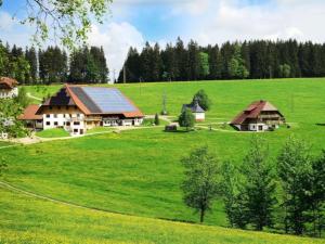 Holzhof في بريتناو: حقل أخضر كبير مع بيوت على تلة