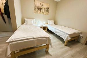 Zimmer mit 2 Betten in einem Zimmer in der Unterkunft Olszyna Pod Brzozą in Olszyna