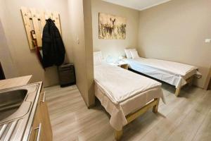 Pokój szpitalny z 2 łóżkami i umywalką w obiekcie Olszyna Pod Brzozą w mieście Olszyna