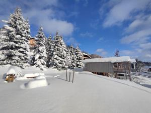Lagom Haus v zime