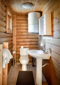 łazienka z toaletą i umywalką w obiekcie Cozy house on Parnassos Mountain w mieście Arachova